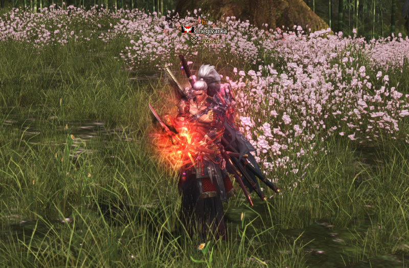 Игрок Chegivarka заточил оружие босса до +10 в Lineage 2 Project Wolf