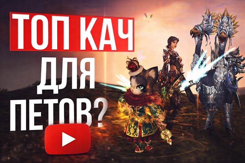 Топ кач для петов в Lineage 2 Essence